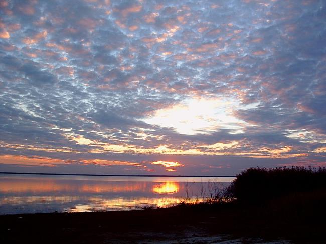 Florida Skyline